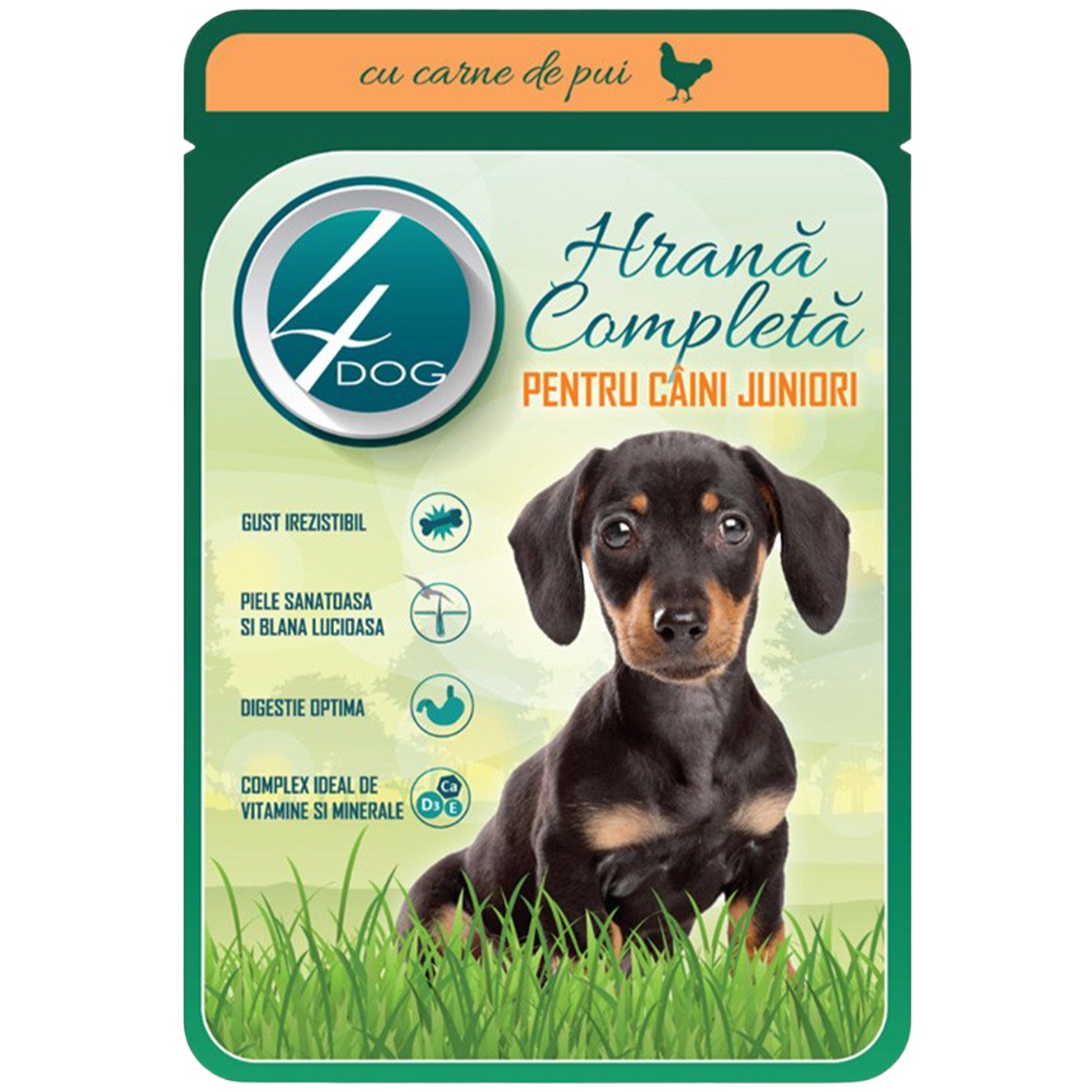 4dog-plic-100g-pui-pentru-junior-17029