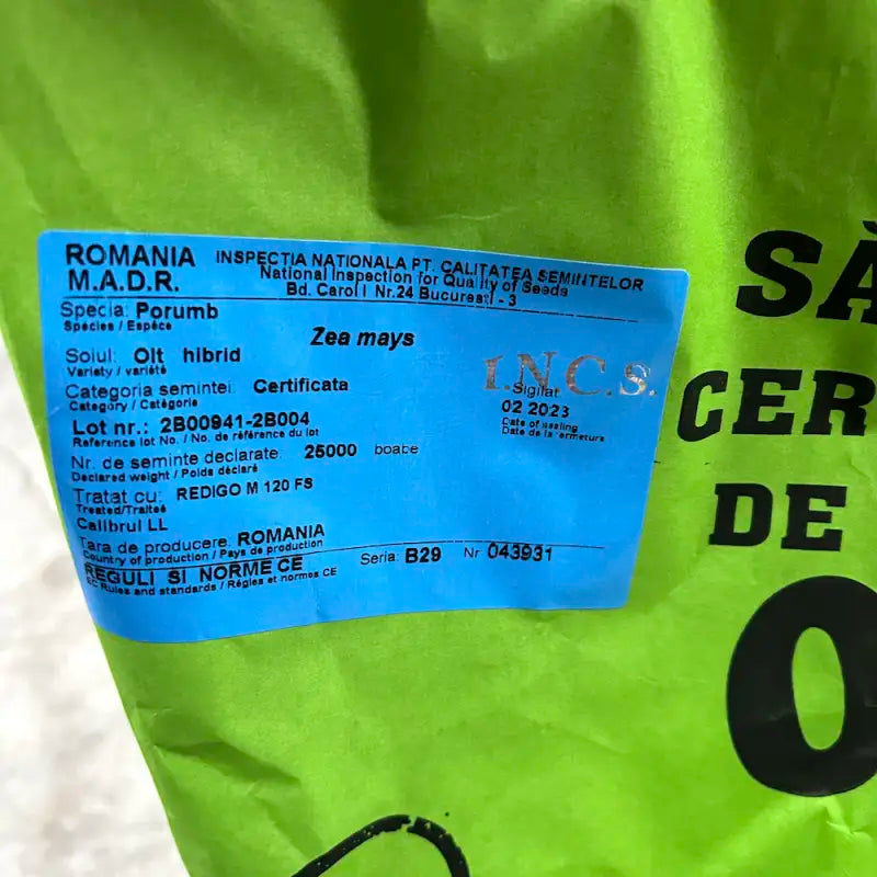 Seminte porumb Olt 25.000 boabe, FAO 430