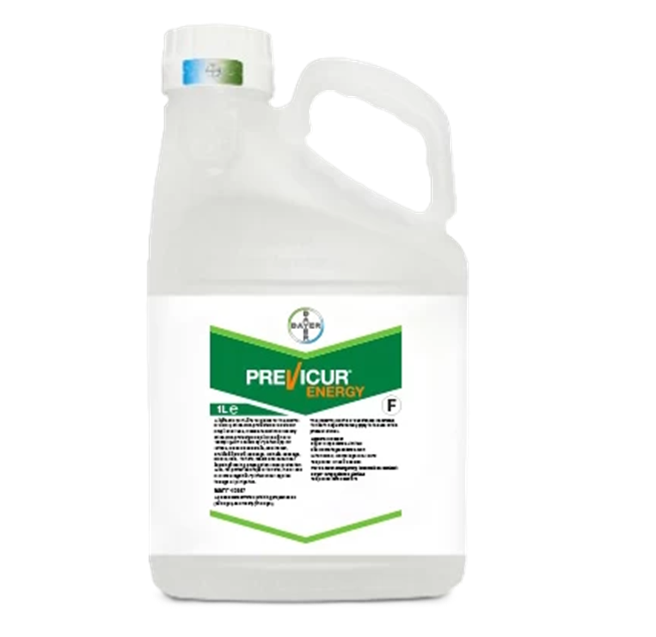fungicid-previcur-energy-bayer-sistemic-castraveti-tomate-pepeni-verzi