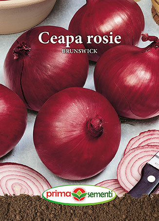 Seminte ceapa rosie Brunswick