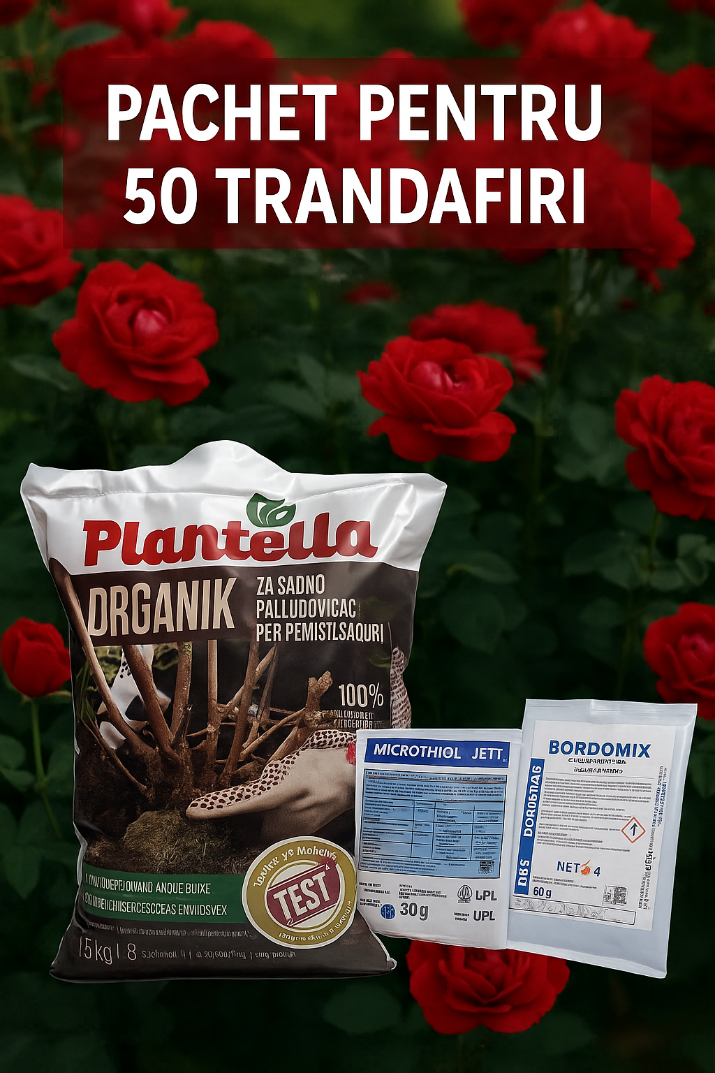 Pachet TRANDAFIRI - Toamna