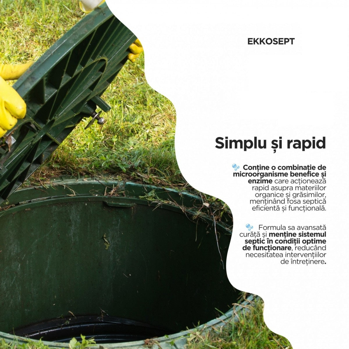 Ekkosept - Bioactivator Organic pentru Fose Septice - Microorganisme si Enzime, Fara Vidanjari Frecvente