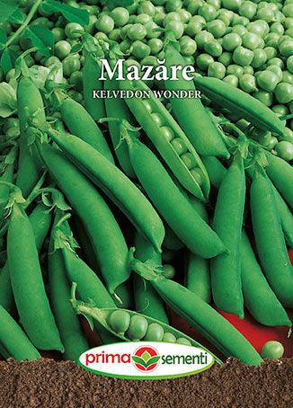Seminte mazare Kelvedon Wonder