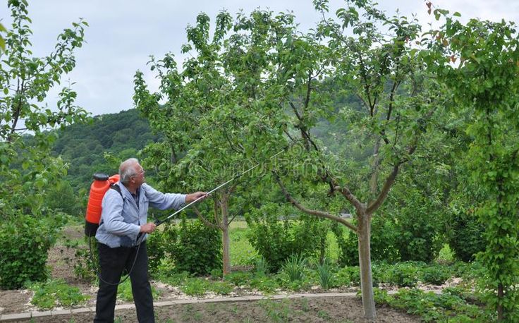 PACHET - Pompa electrica/pulverizator de stropit vermorel, rezervor 12L baterie 12V 8Ah debit 3.1 l/min + Atomizor Atasabil