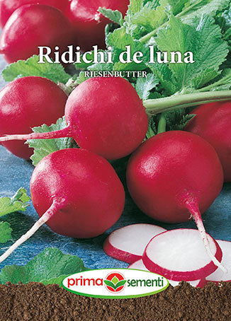 Seminte ridichi De Luna Riesenbutter