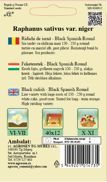 Ridichi de Iarnă Black Spanish - Seminte Soi Tardiv, Rădăcini Mari, Miezul Alb
