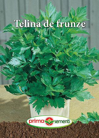 Seminte telina Frunze