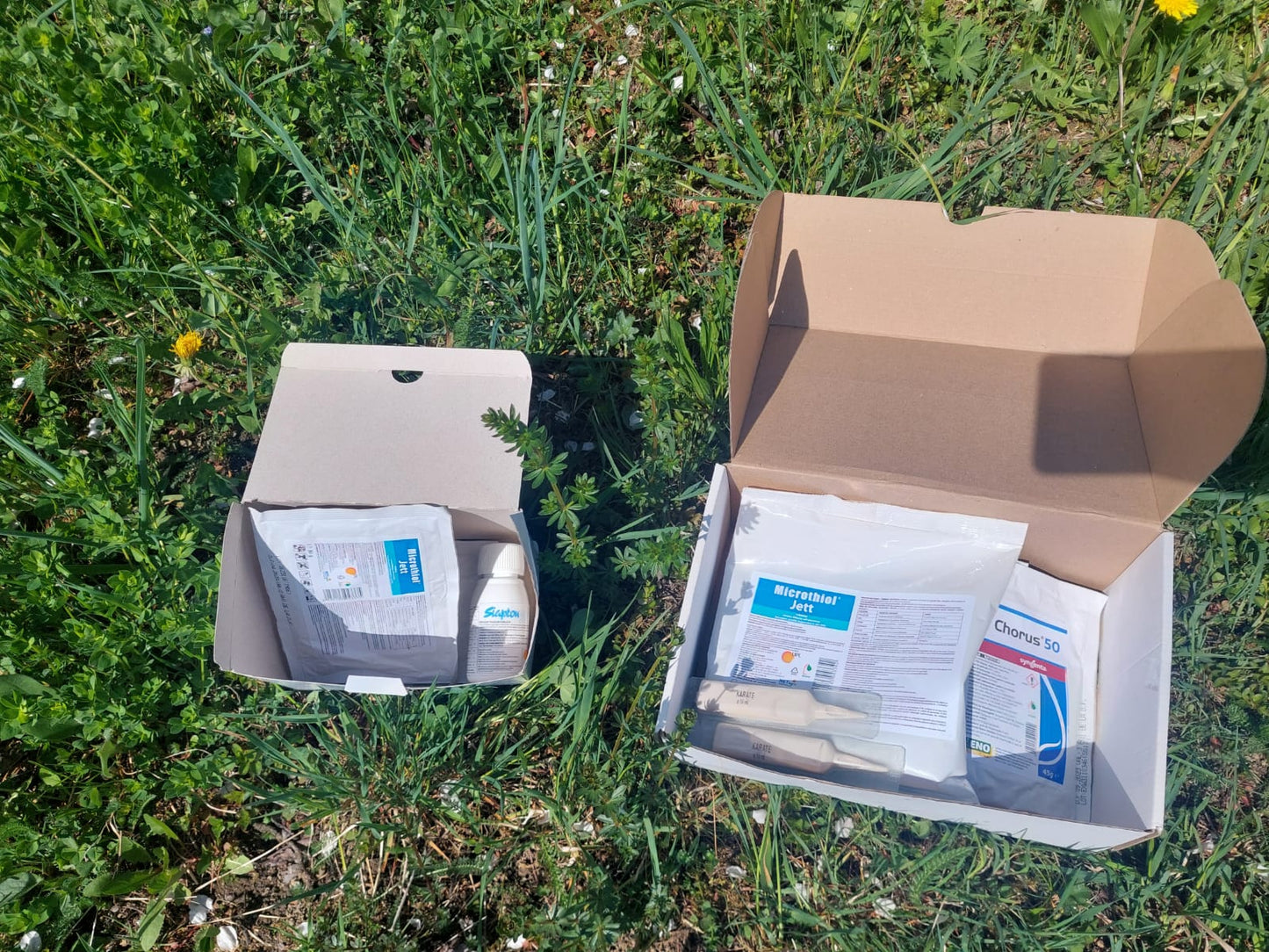 Pachet Tratament Livada Mixta- la scuturarea petalelor