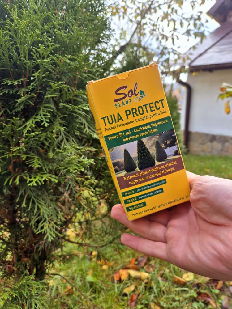 Pachet Tratament TUIA - Premium