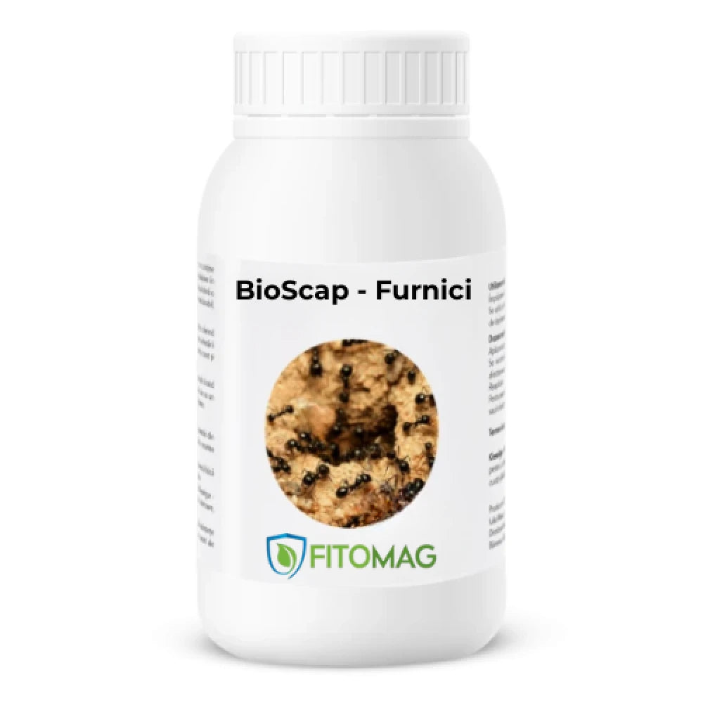 BioScap Insecticid Bio Anti-Furnici – Interior, Bucatarie, Gradina, Terasa, Curte, Musuroi — Imprastiere Contact Pulbere Diatomee (SiO2)