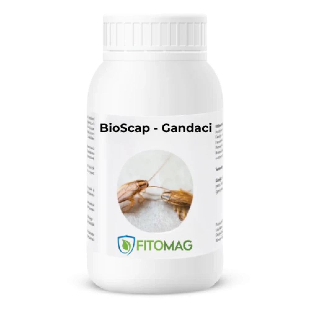 bioscap-protectie-impotriva-gandacilor-de-bucatarie