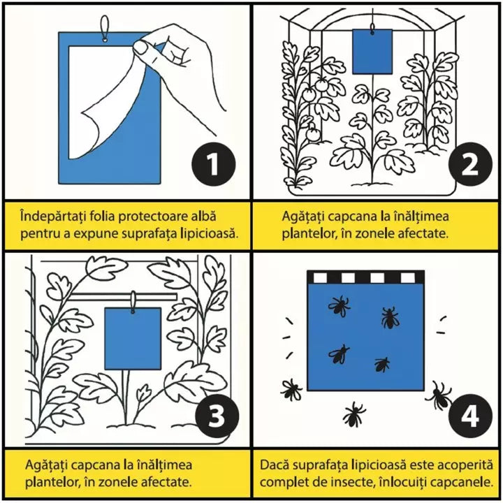 Capcane Lipicioase Albastre Set 10 Placi – Monitorizare și Control Trips (Thysanoptera) – Seră, Solar, Flori