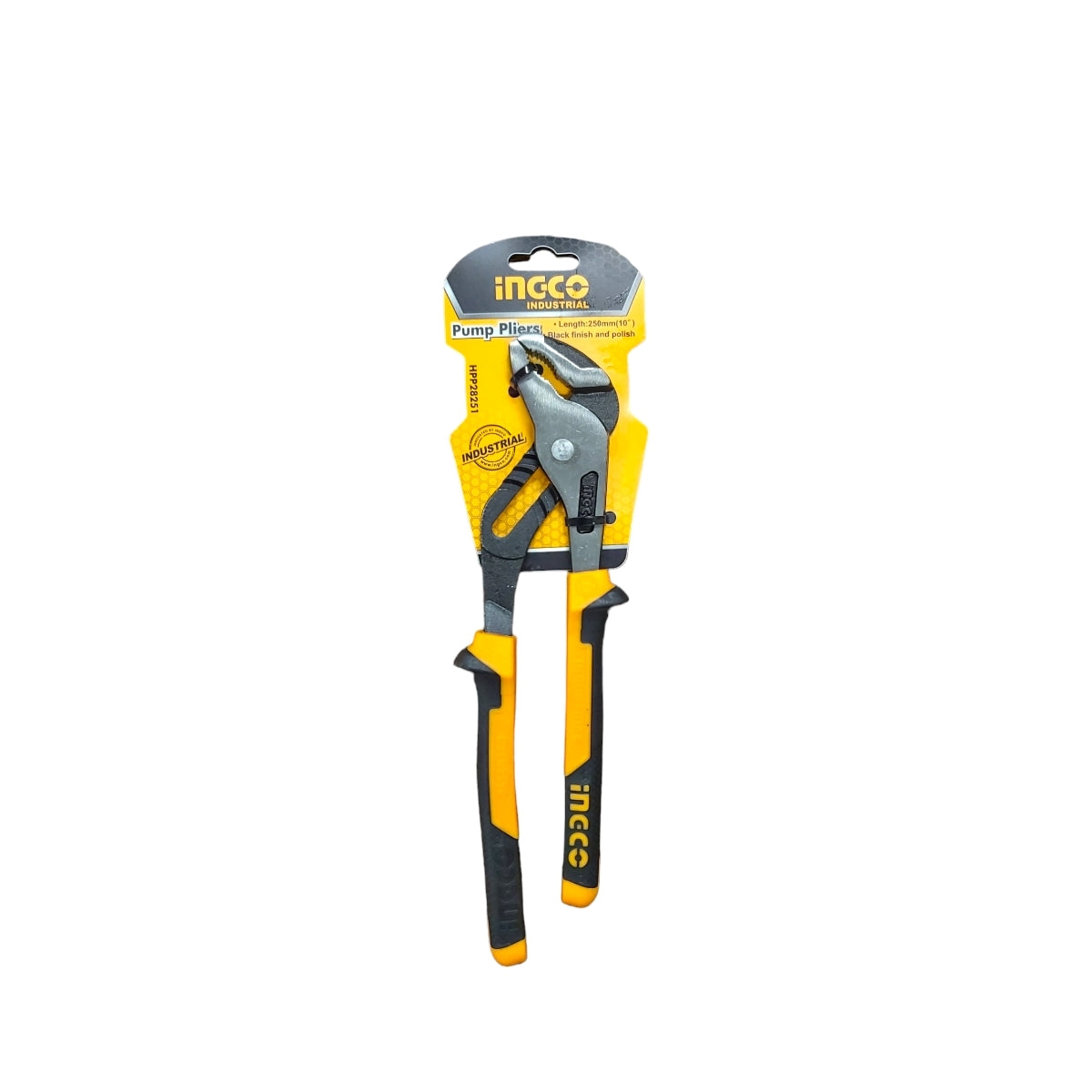 cleste-papagal-10-apos-deschidere-50mm-hpp28251-42423