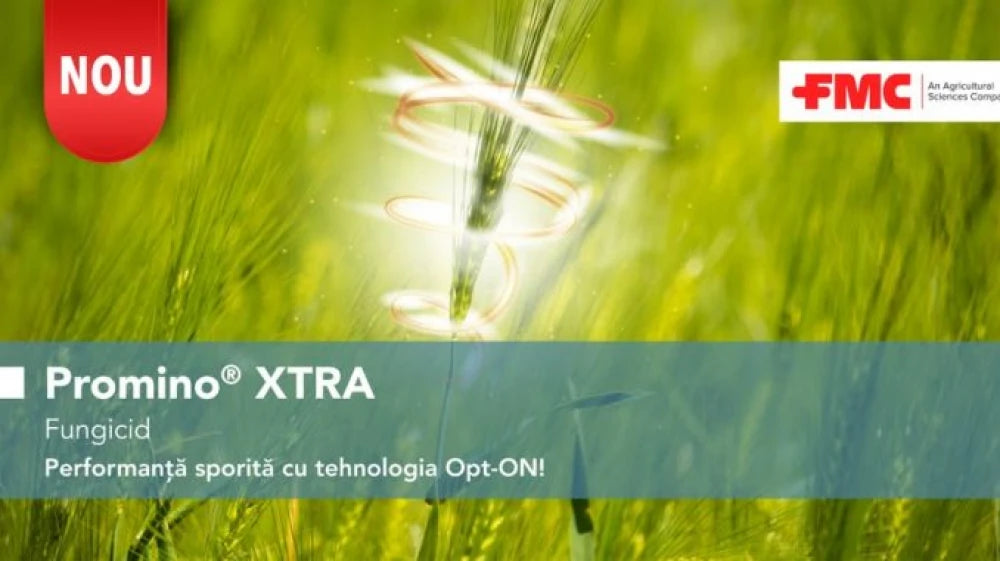 Promino Xtra Fungicid Cu Azoxistrobin Și Protioconazol Pentru Rapiță, Grâu, Orz, Secară Și Triticale