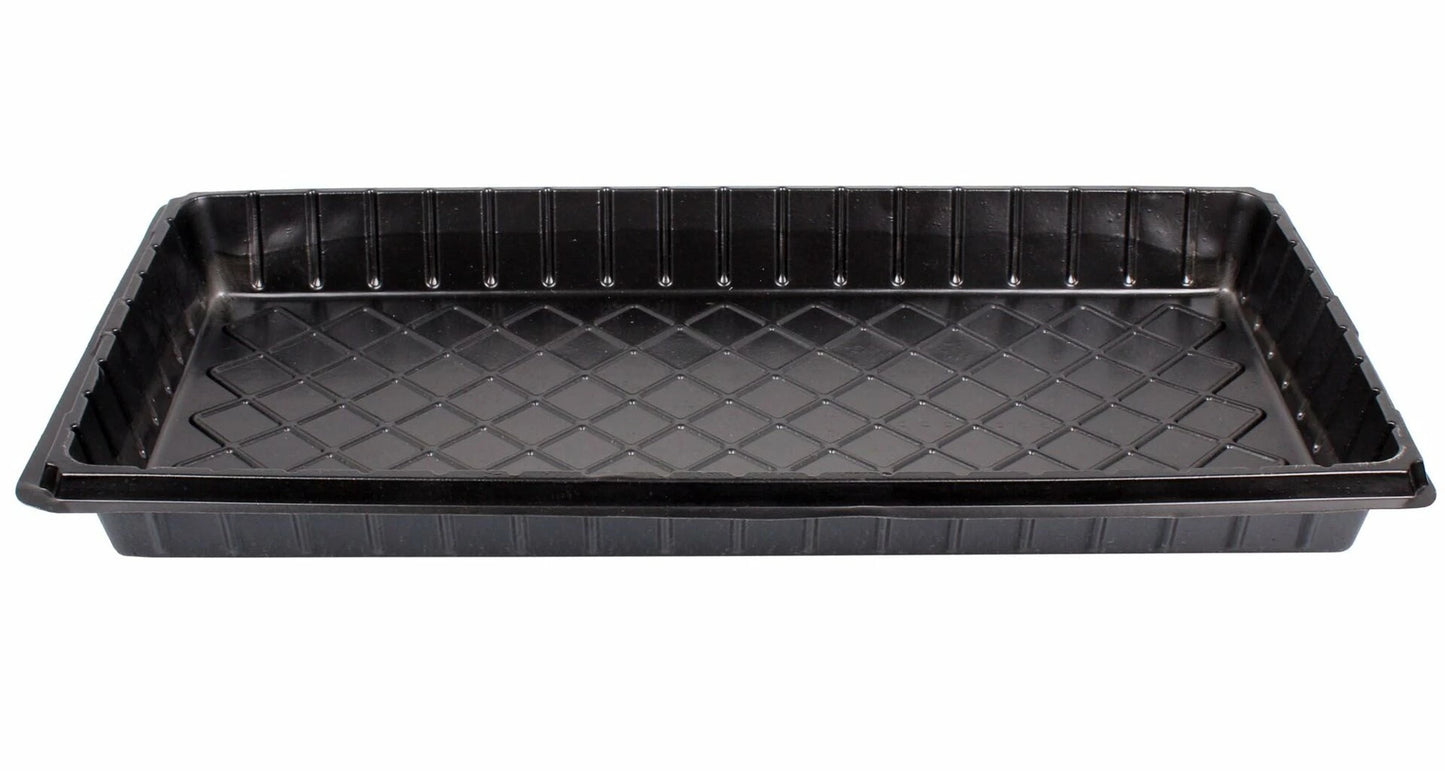 Tava pentru rasaduri, dimensiune 54 x 28 x 5 cm - SolPlant.ro
