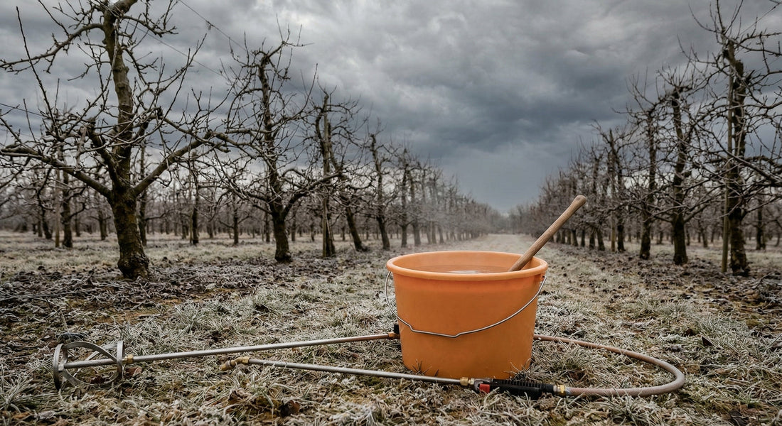 Când și Cum se Aplică Corect Tratamentul de Iarnă la Pomi? 🌳