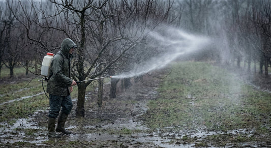4 Greșeli Banale care Distrug Efectul Tratamentului de Iarnă la Pomi ⚠️