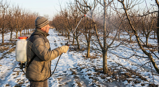 De ce Tratamentul de Iarnă (Repaus Vegetativ) este Secretul Livezilor Sănătoase?