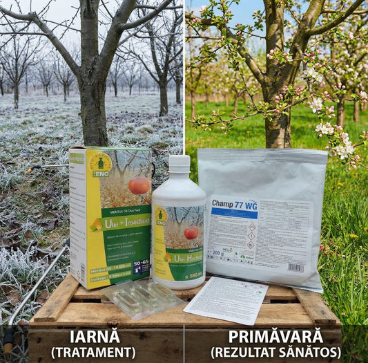 De ce tratamentul de repaus vegetativ nu trebuie să lipsească din nicio livadă? 🌳