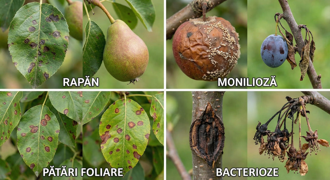 Rolul Vital al Fungicidului pe bază de cupru în Repaus Vegetativ 🧪