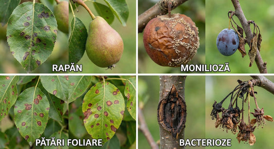 Rolul Vital al Fungicidului pe bază de cupru în Repaus Vegetativ 🧪
