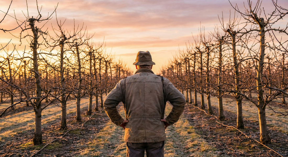 5 Câștiguri Concrete ale Tratamentului de Iarnă la Pomi