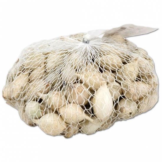 arpagic-alb-white-snowball-calibru-8-21mm