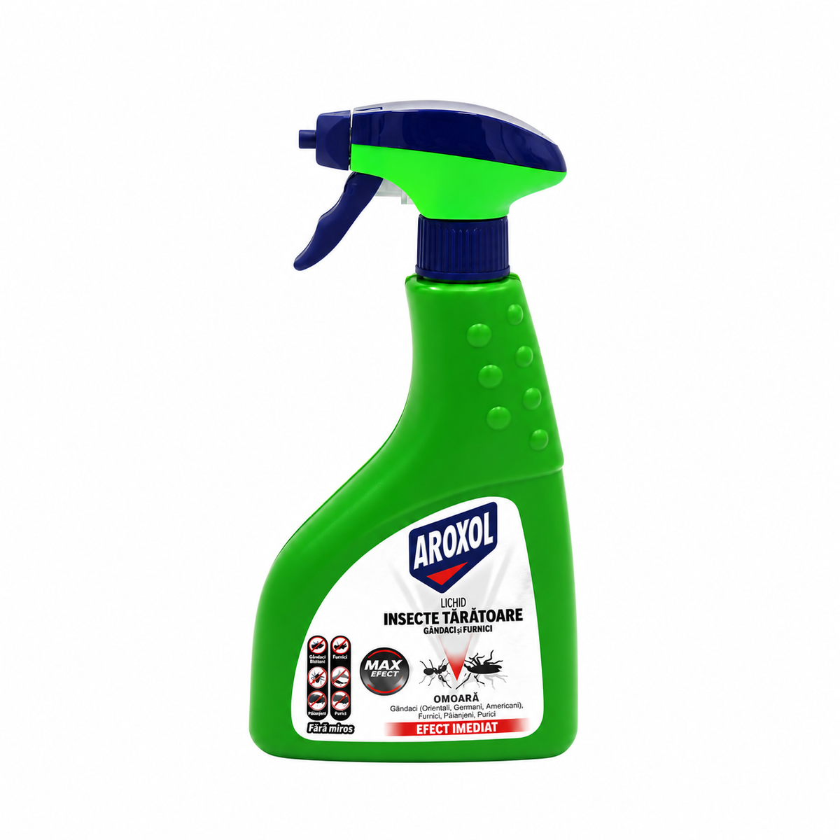 https://cdn.shopify.com/s/files/1/0784/3843/3097/files/17853.png