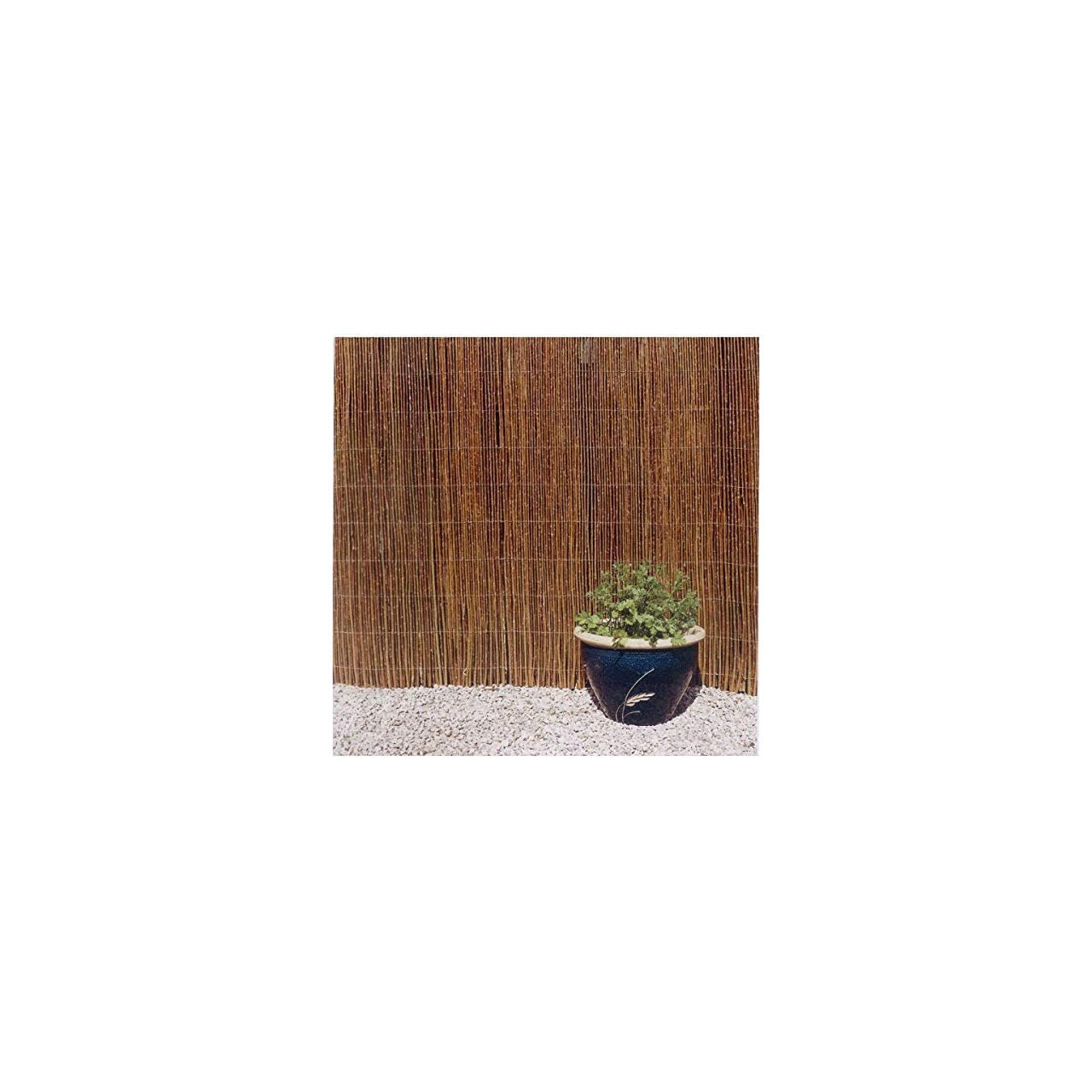 Gard gradina/paravan din rachita naturala, 5x1.5 m