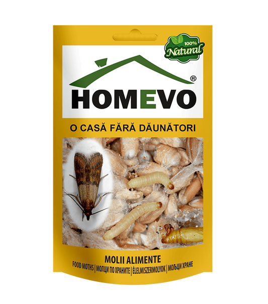 homevo-molii-alimente
