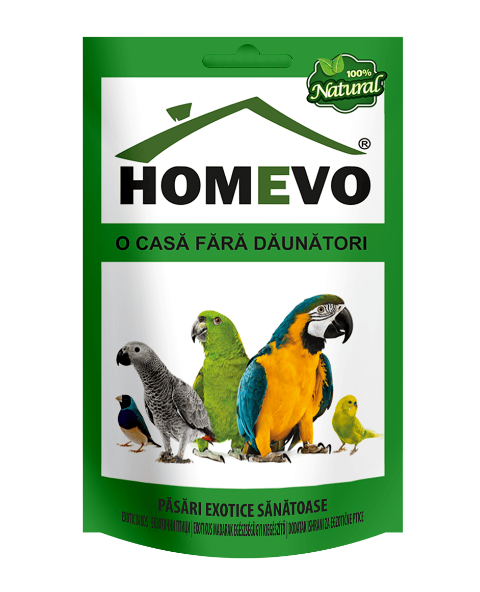 homevo-pasari-exotice-sanatoase-supliment-natural-imunitate