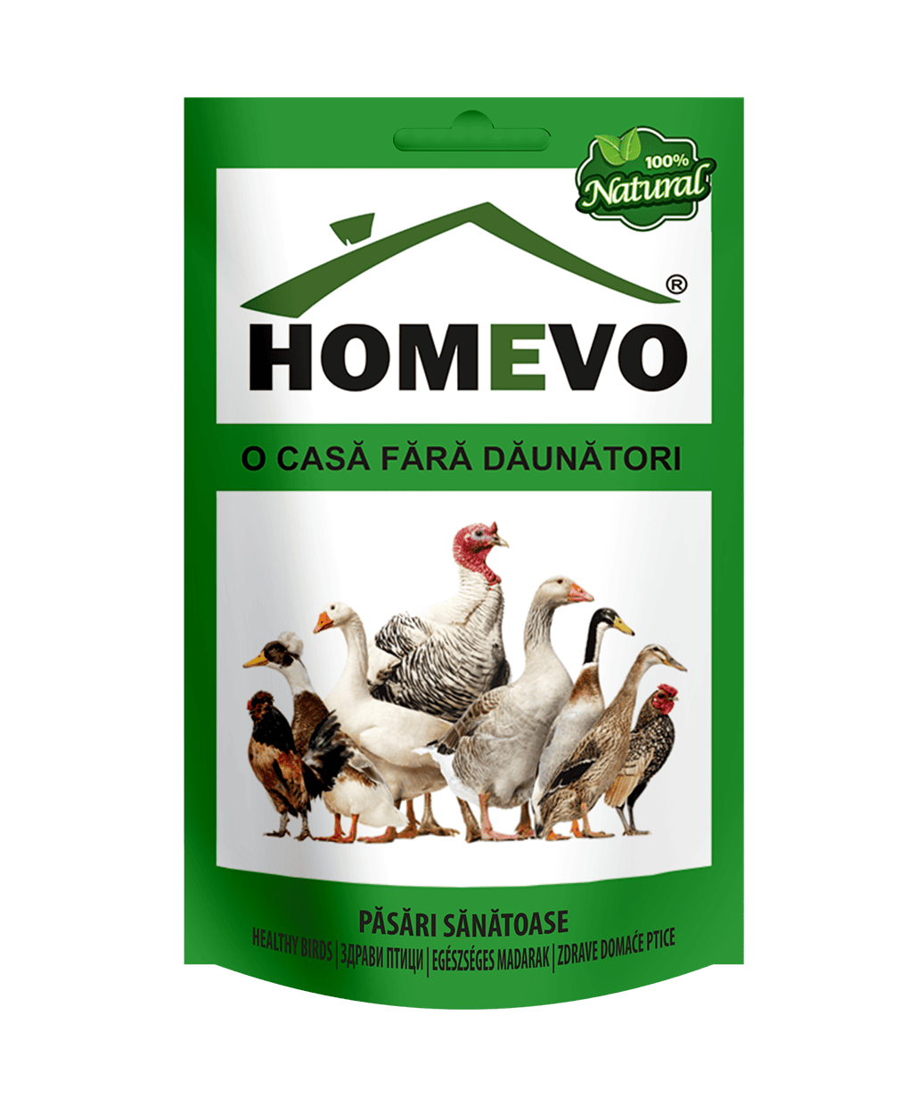 homevo-pasari-sanatoase-supliment-diatomite-pui-pasari-curte