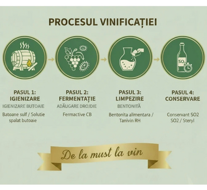 Vinokit 100 - Previne Casarea Vin Curat - Limpezire, Conservare, Fermentatie - Pachet Complet Tratamente pentru 100 Litri Vin