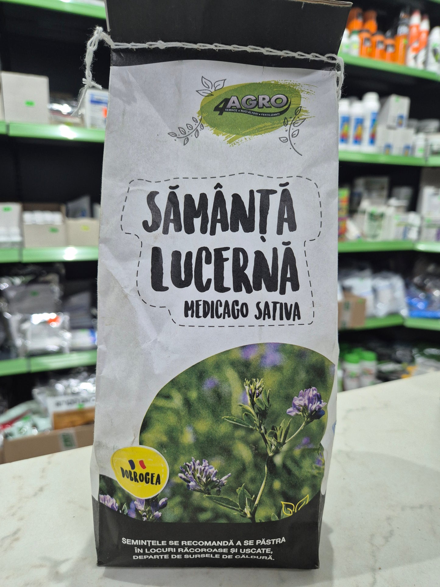 Semințe de lucernă românească „Dobrogea” (Medicago Sativa) – producție mare și rezistență excelentă