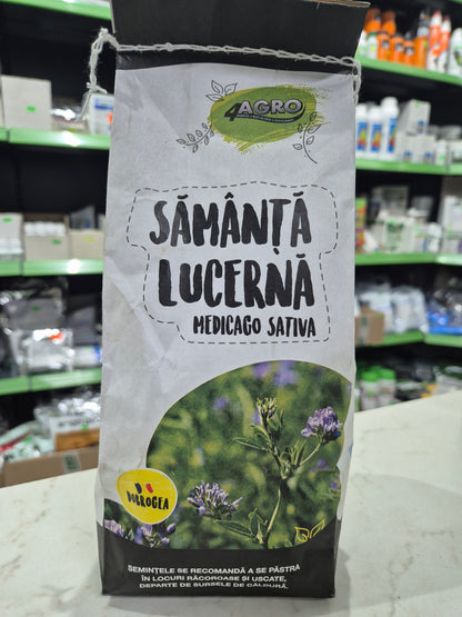 Semințe de lucernă românească „Dobrogea” (Medicago Sativa) – producție mare și rezistență excelentă