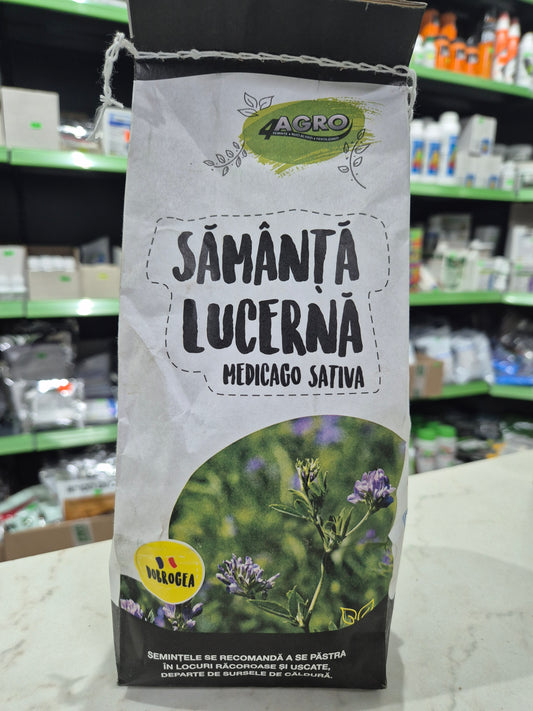 Semințe de lucernă românească „Dobrogea” (Medicago Sativa) – producție mare și rezistență excelentă