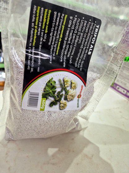 Semințe trifoi alb (Trifolium Repens) 400g – fixator de azot, pentru gazon, pășuni și furaj