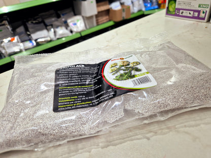 Semințe trifoi alb (Trifolium Repens) 400g – fixator de azot, pentru gazon, pășuni și furaj