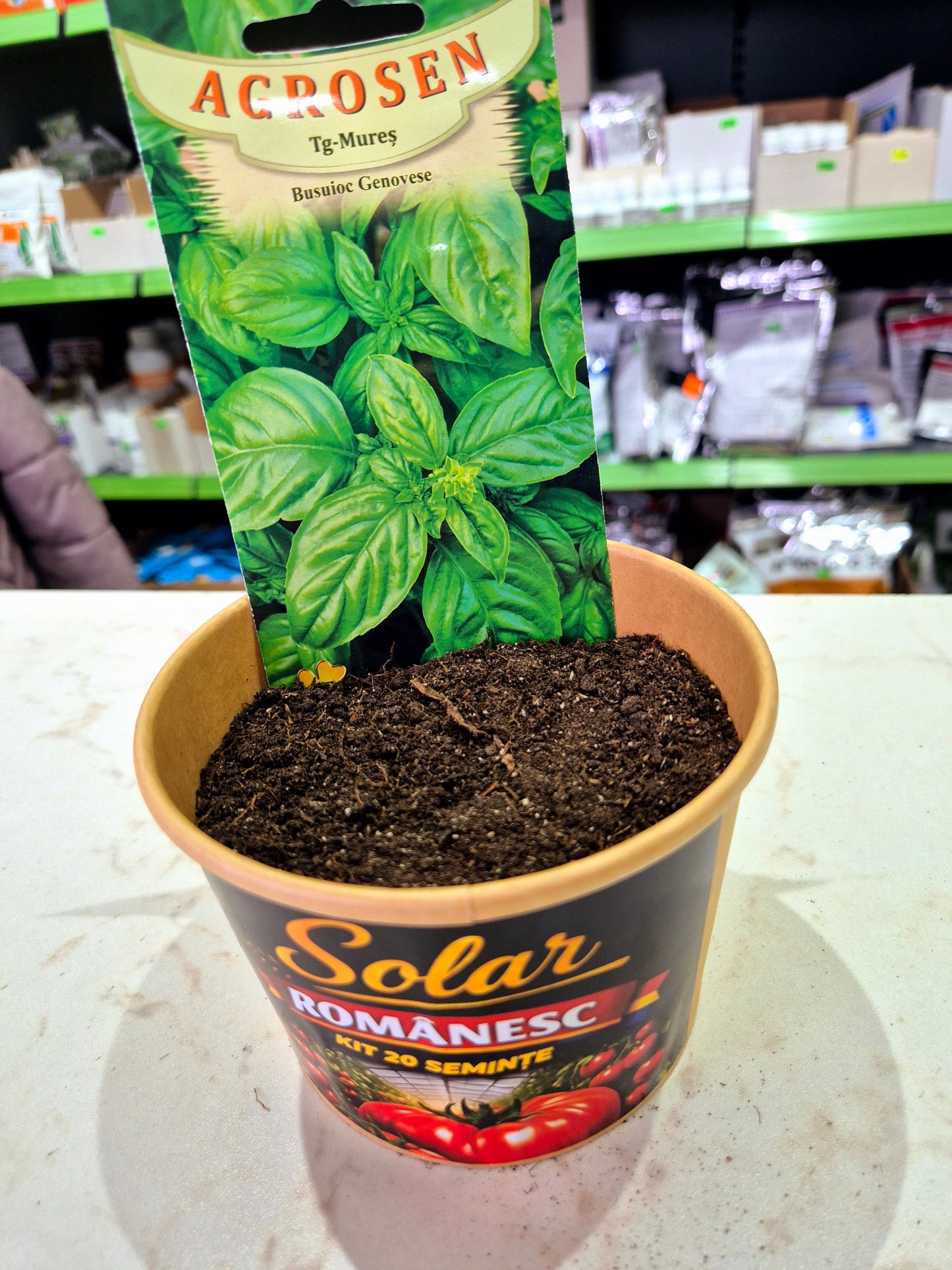Kit Plantare – Ghiveci + Semințe (Gata de Cultivat) |