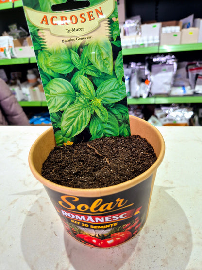 Kit Plantare – Ghiveci + Semințe (Gata de Cultivat) |
