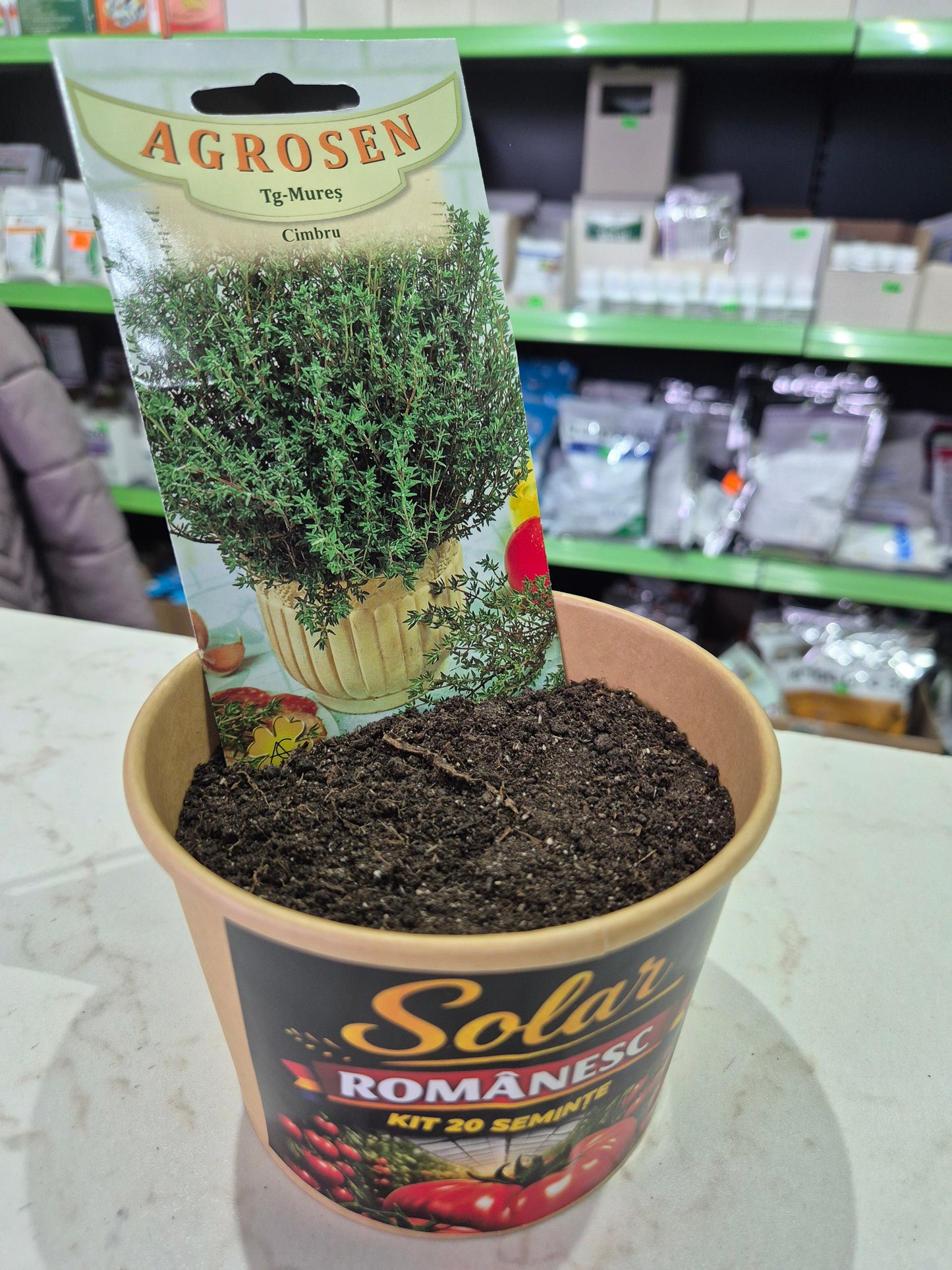 Kit Plantare – Ghiveci + Semințe (Gata de Cultivat) |