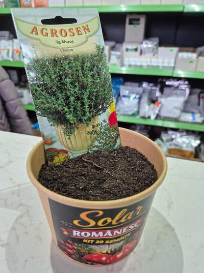 Kit Plantare – Ghiveci + Semințe (Gata de Cultivat) |