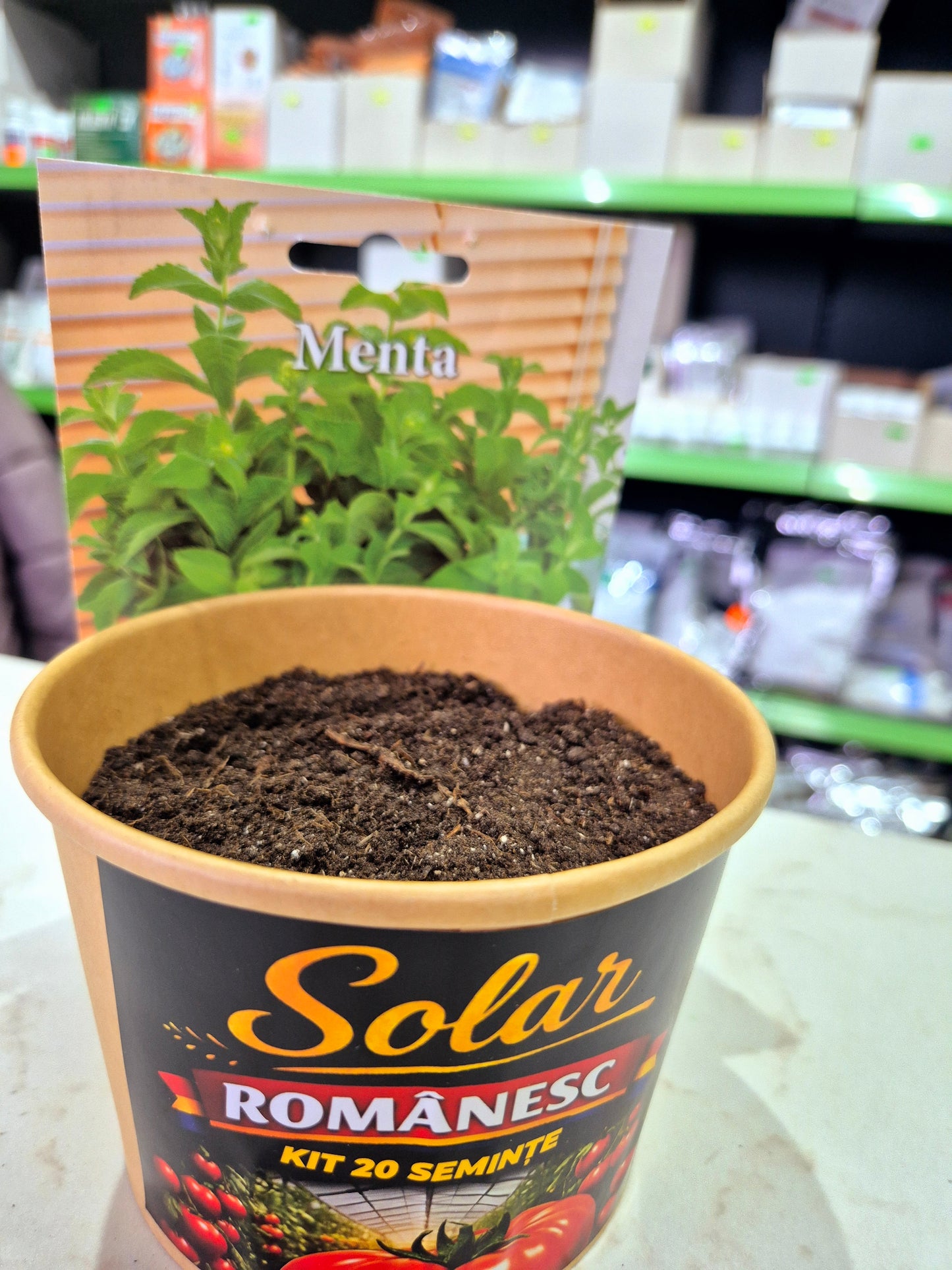 Kit Plantare – Ghiveci + Semințe (Gata de Cultivat) |
