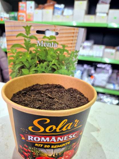 Kit Plantare – Ghiveci + Semințe (Gata de Cultivat) |