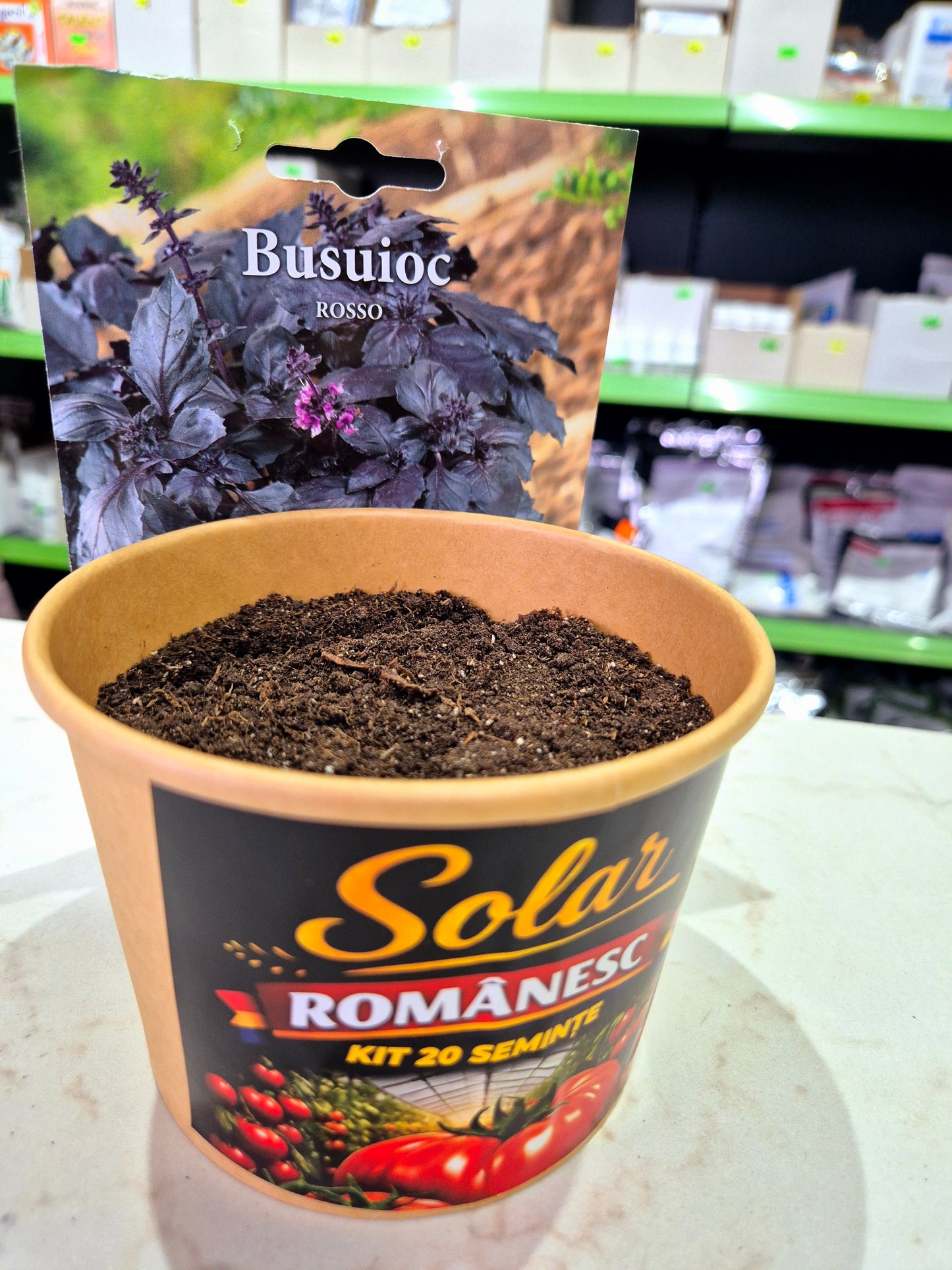 Kit Plantare – Ghiveci + Semințe (Gata de Cultivat) |