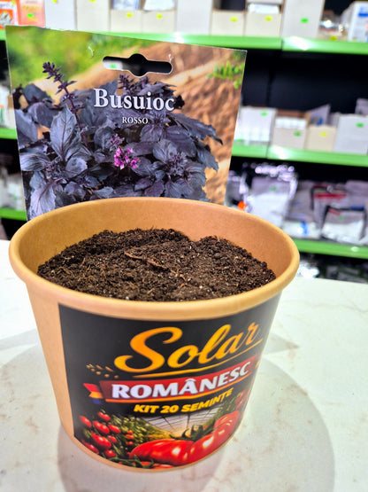 Kit Plantare – Ghiveci + Semințe (Gata de Cultivat) |