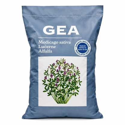 Lucerna Gea SuperMix Drajată - Samanta Tratata cu Rhizobium - Regenerare Rapida, Rezistenta Seceta si Frig - Medicago Sativa