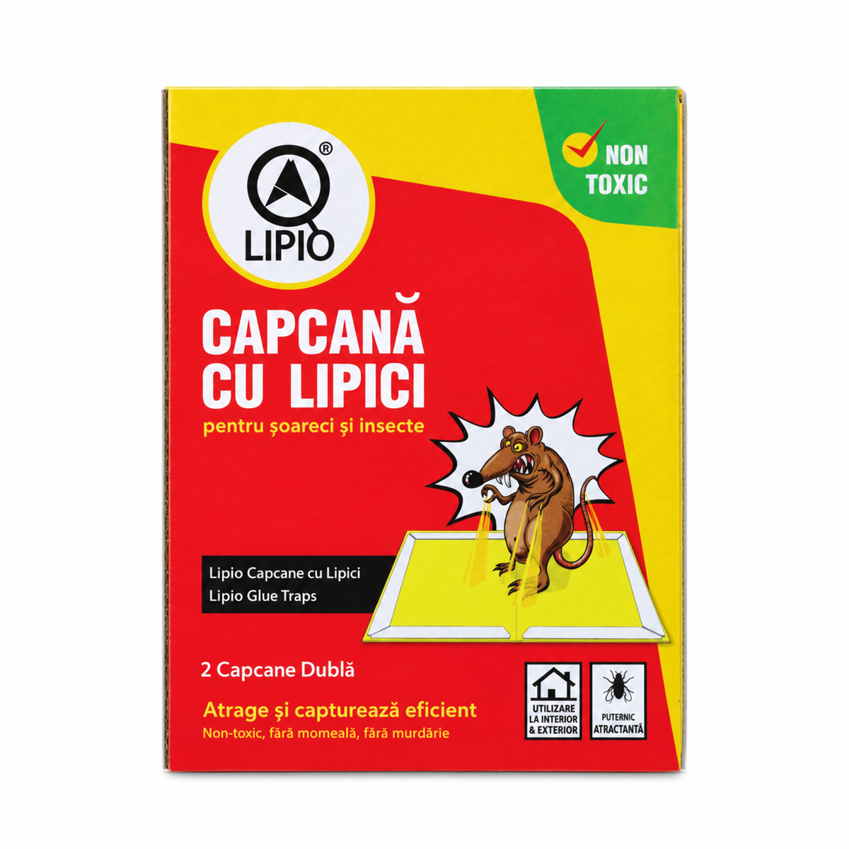 https://cdn.shopify.com/s/files/1/0784/3843/3097/files/28003.png