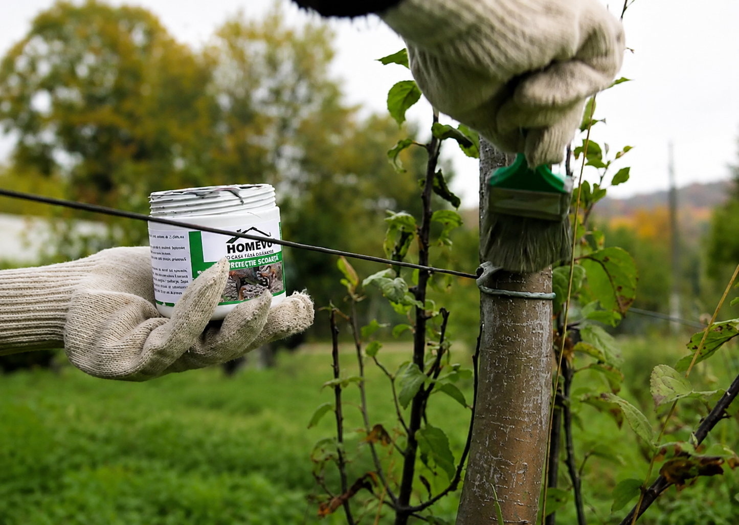 HOMEVO PROTECTIE SCOARTA 300G - Mastic cu Capsaicina - Cerbi, Caprioare, Iepuri, Capre, Pepiniere, Livezi