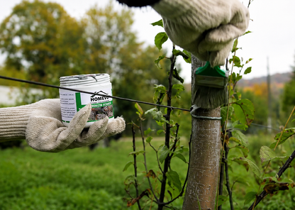 HOMEVO PROTECTIE SCOARTA 300G - Mastic cu Capsaicina - Cerbi, Caprioare, Iepuri, Capre, Pepiniere, Livezi